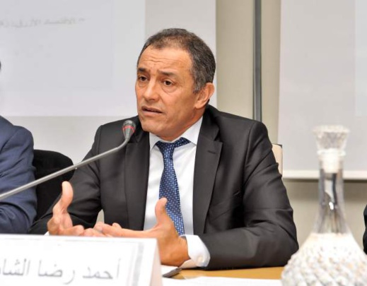 مجلس دستوري يحذر من ظهور اضطرابات نفسية وعقلية بين المغاربة بسبب كورونا مجلس دستوري يحذر من ظهور اضطرابات نفسية وعقلية بين المغاربة بسبب كورونا