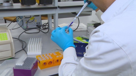 علماء يكتشفون المحرك الرئيسي المحتمل لانتقال فيروس "كوفيد -19" علماء يكتشفون المحرك الرئيسي المحتمل لانتقال فيروس "كوفيد -19"