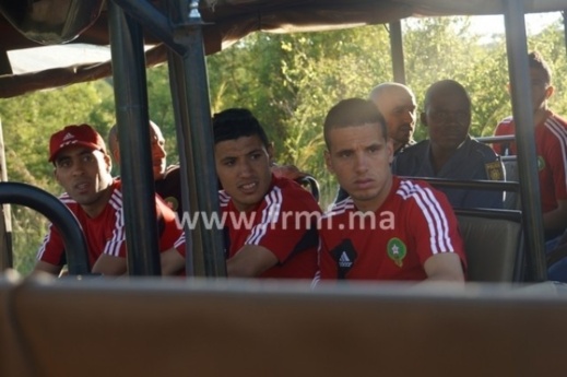 الأسود في حديقة الحيوانات.. شاهدوا صور وفيديو الأسود في حديقة الحيوانات.. شاهدوا صور وفيديو