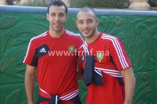 الأسود في حديقة الحيوانات.. شاهدوا صور وفيديو الأسود في حديقة الحيوانات.. شاهدوا صور وفيديو