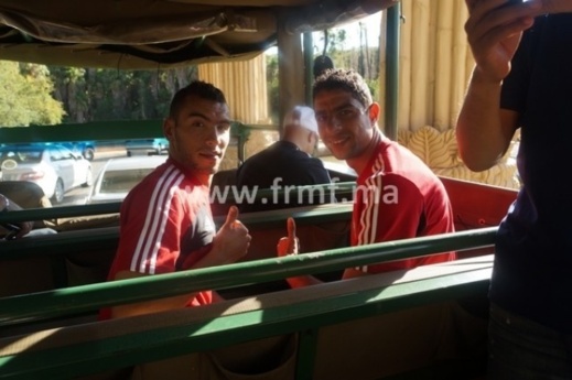 الأسود في حديقة الحيوانات.. شاهدوا صور وفيديو الأسود في حديقة الحيوانات.. شاهدوا صور وفيديو