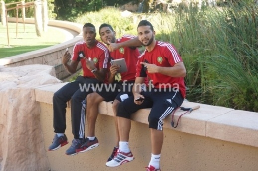 الأسود في حديقة الحيوانات.. شاهدوا صور وفيديو الأسود في حديقة الحيوانات.. شاهدوا صور وفيديو