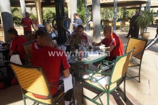 الأسود في حديقة الحيوانات.. شاهدوا صور وفيديو الأسود في حديقة الحيوانات.. شاهدوا صور وفيديو