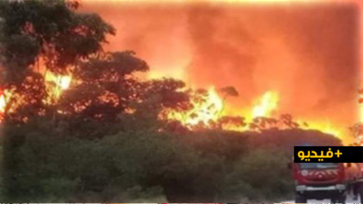 شاهدوا.. اندلاع حرائق مجهولة في نفس التوقيت بمناطق متفرقة بالجزائر لتصل إلى السعيدية شاهدوا.. اندلاع حرائق مجهولة في نفس التوقيت بمناطق متفرقة بالجزائر لتصل إلى السعيدية