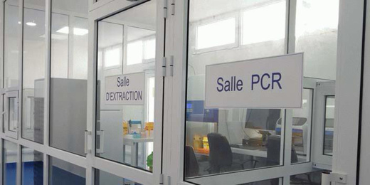 تخصيص 6 مراكز محلية لاجراء تحاليل الكشف الاستباقي عن فيروس "كورونا" بإقليم الناظور تخصيص 6 مراكز محلية لاجراء تحاليل الكشف الاستباقي عن فيروس "كورونا" بإقليم الناظور