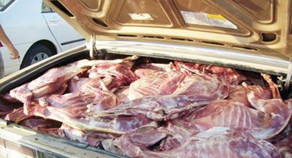 حجز مشروبات غازية ولحوم الذبيحة السرية وكميات مهمة من الجبن المذاب في حملة أمنية بتازة حجز مشروبات غازية ولحوم الذبيحة السرية وكميات مهمة من الجبن المذاب في حملة أمنية بتازة