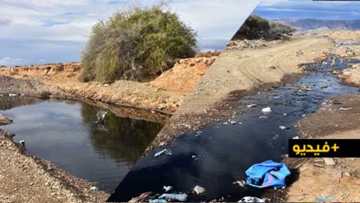 جريمة بيئية.. معاصر للزيتون تتخلص من مخلفاتها بدوار بوغلاب بميضار والساكنة تطالب برفع الضرر جريمة بيئية.. معاصر للزيتون تتخلص من مخلفاتها بدوار بوغلاب بميضار والساكنة تطالب برفع الضرر