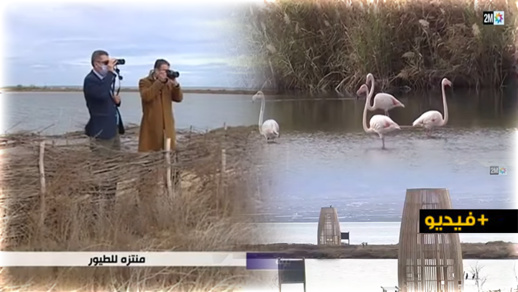 ربورتاج للقناة الثانية يسلط الضوء على مميزات منتزه الطيور ببحيرة مارتشيكا بالناظور ربورتاج للقناة الثانية يسلط الضوء على مميزات منتزه الطيور ببحيرة مارتشيكا بالناظور