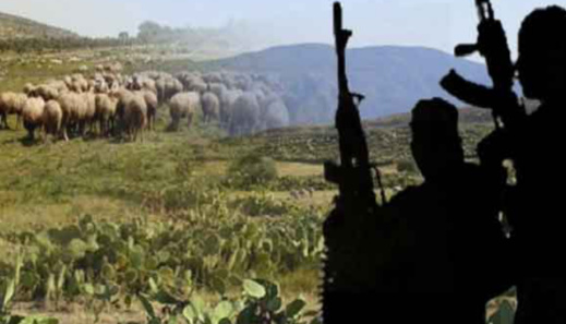 تونس.. إرهابيون "يذبحون" شابا في ولاية "القصرين" تونس.. إرهابيون "يذبحون" شابا في ولاية "القصرين"