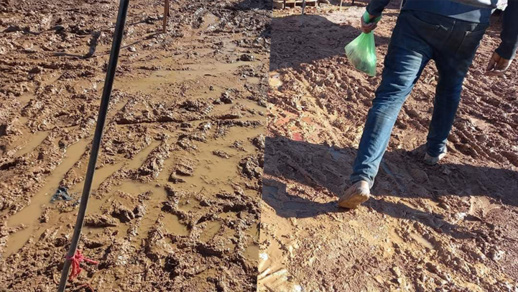 السوق الأسبوعي في بن طيب يعيش أوضاعا كارثية والمسؤولون في دار غافلون السوق الأسبوعي في بن طيب يعيش أوضاعا كارثية والمسؤولون في دار غافلون