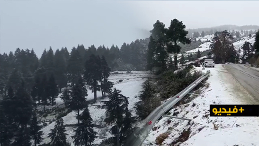 فيديو.. مشاهد بانورامية  لجبال الحسيمة بعدما كستها التساقطات الثلجية بالبياض  فيديو.. مشاهد بانورامية  لجبال الحسيمة بعدما كستها التساقطات الثلجية بالبياض