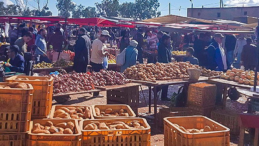 مواطنون يشتكون الارتفاع "الصاروخي" لأثمنة الخضر والفواكه بأسواق الناظور مواطنون يشتكون الارتفاع "الصاروخي" لأثمنة الخضر والفواكه بأسواق الناظور