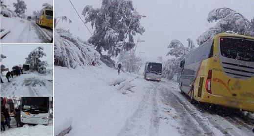 الأمطار والثلوج تقتلع الأشجار وتقطع الطرق والكهرباء وتقتل شخصا في غفساي وتجرف تلميذة الأمطار والثلوج تقتلع الأشجار وتقطع الطرق والكهرباء وتقتل شخصا في غفساي وتجرف تلميذة