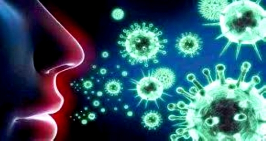 تحقيقات منظمة الصحة العالمية تصل إلى أصل "بؤرة" انتشار فيروس كورونا