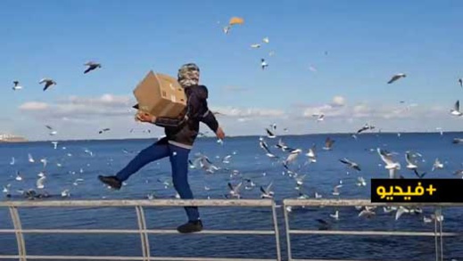 مضحك.. "شاروخان الناظور" يطعم طيور النوارس بطريقته الخاصة مضحك.. "شاروخان الناظور" يطعم طيور النوارس بطريقته الخاصة