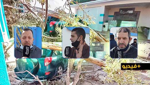 شاهدوا.. سقوط شجرة على سيارة طبيب والألطاف الإلهية تحول دون وقوع كارثة بشرية شاهدوا.. سقوط شجرة على سيارة طبيب والألطاف الإلهية تحول دون وقوع كارثة بشرية