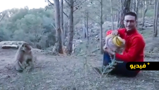 الناشط المثير للجدل رشيد زناي يرد على الجزائري الذي اساء للملك بتوزيع "البنان" على القردة الناشط المثير للجدل رشيد زناي يرد على الجزائري الذي اساء للملك بتوزيع "البنان" على القردة