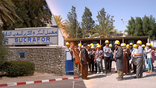 أزيد من 300 عامل مهددون بالتشرد بسبب مخاوف من إغلاق معمل السكر بزايو