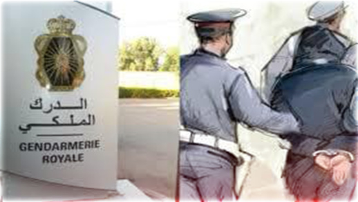 الدرك الملكي يفكك عصابة سرقة المواشي بحاسي بركان ويسترجع رؤوسا من الأبقار