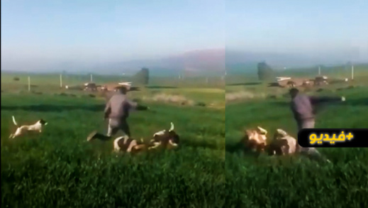 سخط عارم على مواقع التواصل الاجتماعي بسبب فيديو يوثق لاعتداء على امرأة بالضرب سخط عارم على مواقع التواصل الاجتماعي بسبب فيديو يوثق لاعتداء على امرأة بالضرب