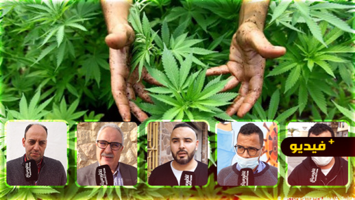 ما رأي الناظوريين في مقترح الحكومة لتقنين استعمال القنب الهندي؟