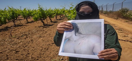 مدير مزرعة بإسبانيا يواجه أربع سنوات ونصف سجنا بتهمة التحرش بمغربيات ومحاولة اغتصابهن مدير مزرعة بإسبانيا يواجه أربع سنوات ونصف سجنا بتهمة التحرش بمغربيات ومحاولة اغتصابهن