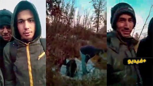 شاهدوا.. شباب ريفيون يتحدون المخاطر وسط غابات البوسنة بحثا عن مستقبل أفضل شاهدوا.. شباب ريفيون يتحدون المخاطر وسط غابات البوسنة بحثا عن مستقبل أفضل