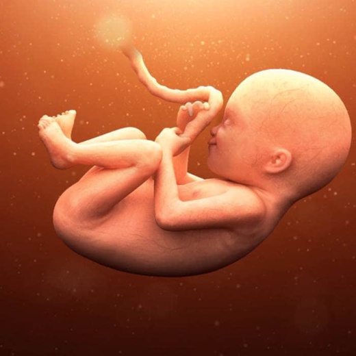 اكتشاف صادم.. العلماء يتوصلون لصناعة جنين دون حيوانات منوية اكتشاف صادم.. العلماء يتوصلون لصناعة جنين دون حيوانات منوية