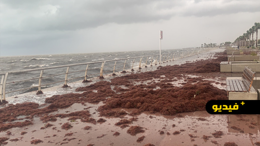 هكذا تحول كورنيش الناظور بسبب الأمطار وهيجان البحر هكذا تحول كورنيش الناظور بسبب الأمطار وهيجان البحر