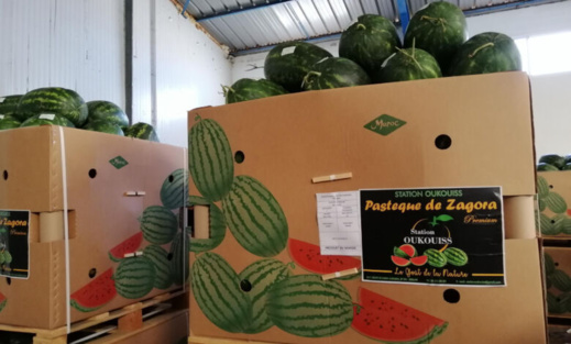 دراسة إسبانية: 81٪ من البطيخ المستورد قادم من المغرب دراسة إسبانية: 81٪ من البطيخ المستورد قادم من المغرب