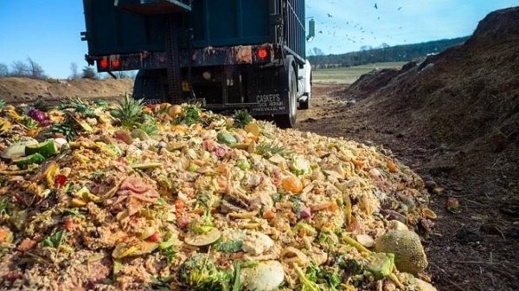 كل مغربي يرمي حوالي 91 كلغ من الأطعمة في القمامة سنويا