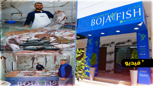 مدينة الناظور تتعزز بافتتاح محل جديد لبيع أجواد الأسماك الطرية وفواكه البحر مدينة الناظور تتعزز بافتتاح محل جديد لبيع أجواد الأسماك الطرية وفواكه البحر