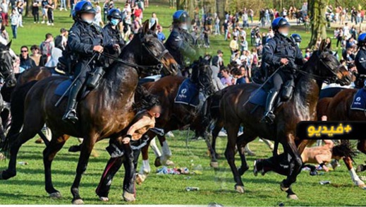 شاهدوا.. امرأة دهسها حصان شرطة في تجمهر ببروكسيل شاهدوا.. امرأة دهسها حصان شرطة في تجمهر ببروكسيل