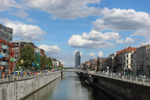 بالصور.. العثور على تمساح في قناة بروكسل ببلجيكا بالصور.. العثور على تمساح في قناة بروكسل ببلجيكا