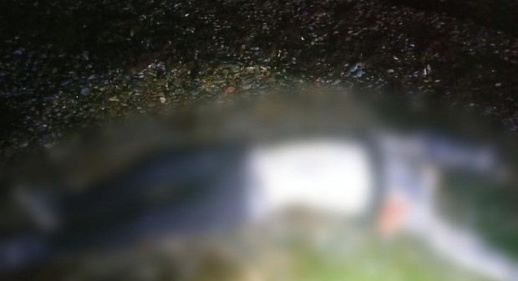 شاطئ مليلية يلفظ جثة متحللة شاطئ مليلية يلفظ جثة متحللة