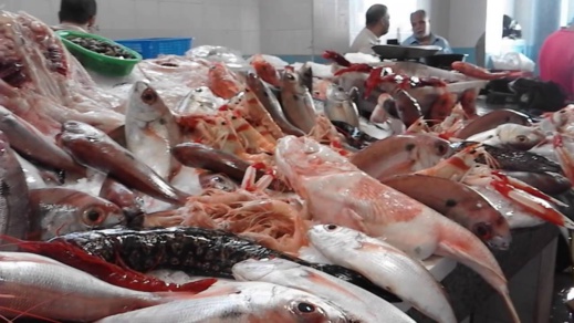 الفقراء لن يأكلوا الأسماك والبيض والحوامض خلال الأيام المقبلة الفقراء لن يأكلوا الأسماك والبيض والحوامض خلال الأيام المقبلة