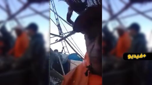 شاهدوا.. بحار يفضح المضاربين ويحملهم مسؤولية غلاء الأسماك بالأسواق ويطالب بمحاسبتهم شاهدوا.. بحار يفضح المضاربين ويحملهم مسؤولية غلاء الأسماك بالأسواق ويطالب بمحاسبتهم