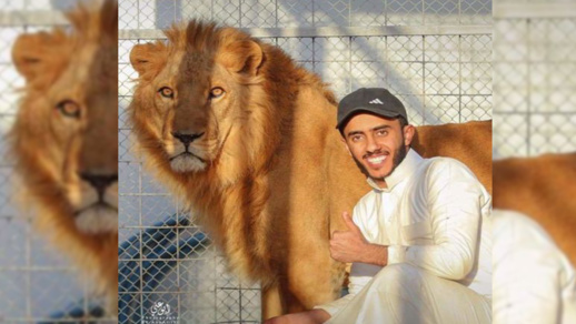 شاهدوا.. أسد يلتهم شابا كان يقوم بتربيته داخل المنزل شاهدوا.. أسد يلتهم شابا كان يقوم بتربيته داخل المنزل