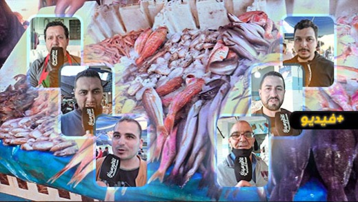 السوق المركزي بالناظور.. تراجع الرواج التجاري وانخفاض ملحوظ في أثمنة الأسماك السوق المركزي بالناظور.. تراجع الرواج التجاري وانخفاض ملحوظ في أثمنة الأسماك