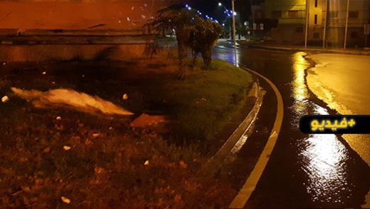 شاهدوا.. حراكة يتعمدون تخريب مدارة وسط الناظور ويتسببون في ضياع المياه الصالحة للشرب