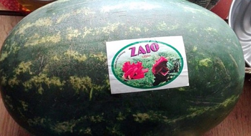 "دلاح"  الناظور الأكثر طلبا والأغلى ثمنا في السوق الأوروبية