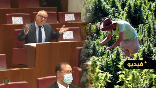 المداخلة الكاملة لمضيان: إلا نمنعوا زراعة الكيف يجب منع الكرموس والشعير اللي كا يتصنع منو الشراب