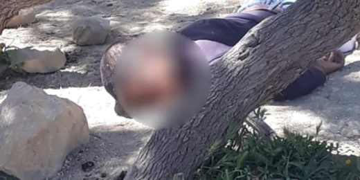 شخص يعنف طفلا يشتغل راعيا بطريقة وحشية حتى الموت بسبب "الشعير" شخص يعنف طفلا يشتغل راعيا بطريقة وحشية حتى الموت بسبب "الشعير"