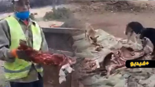 صادم.. العثور على بقايا أطراف بغال وحمير يُشتبه استعمالها في إعداد وجبات سريعة صادم.. العثور على بقايا أطراف بغال وحمير يُشتبه استعمالها في إعداد وجبات سريعة