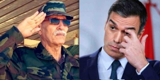 أحزاب إسبانية تنظم مسيرة ضخمة دعما للبوليساريو وتنديدا بالمغرب أحزاب إسبانية تنظم مسيرة ضخمة دعما للبوليساريو وتنديدا بالمغرب