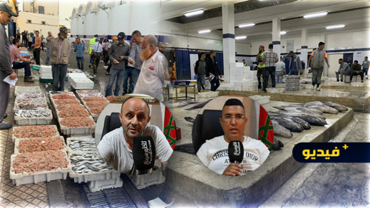 شاهدوا.. عودة الرواج التجاري داخل ميناء بني انصار بعد استئناف تجار الجملة نشاطهم شاهدوا.. عودة الرواج التجاري داخل ميناء بني انصار بعد استئناف تجار الجملة نشاطهم