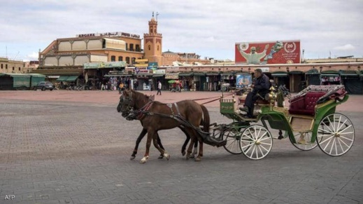 الحكومة تمدد دعم القطاعات المتضررة من كورونا الحكومة تمدد دعم القطاعات المتضررة من كورونا