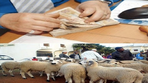 الحكومة تقرر صرف أجور الموظفين يوم 16 يوليوز بمناسبة عيد الأضحى الحكومة تقرر صرف أجور الموظفين يوم 16 يوليوز بمناسبة عيد الأضحى