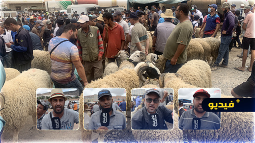 سوق أزغنغان للأضاحي ارتفاع الأسعار والعرض يفوق الطلب
