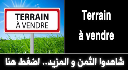 أكثر من 300 إعلان على سوق ناظورسيتي في يوم واحد.. شاهدوا آخر العروض أكثر من 300 إعلان على سوق ناظورسيتي في يوم واحد.. شاهدوا آخر العروض